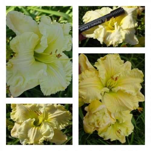 г������ �����