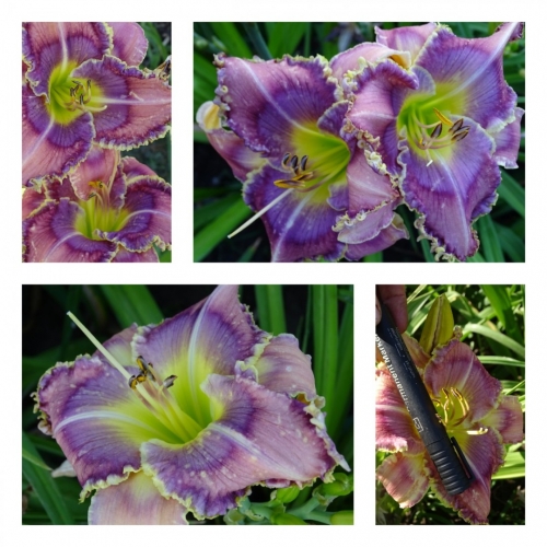 ĳ������ � ����