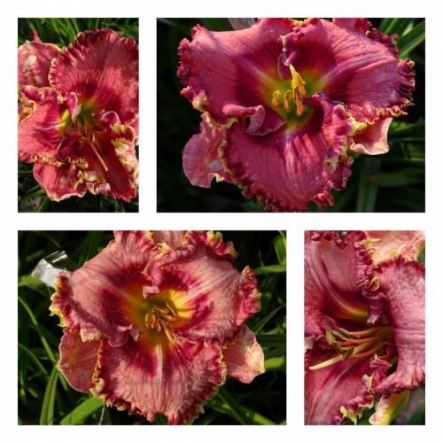 ����� � ����� ������ �������