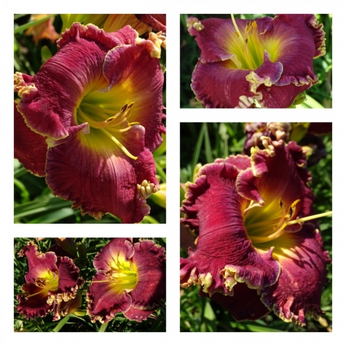 ��������