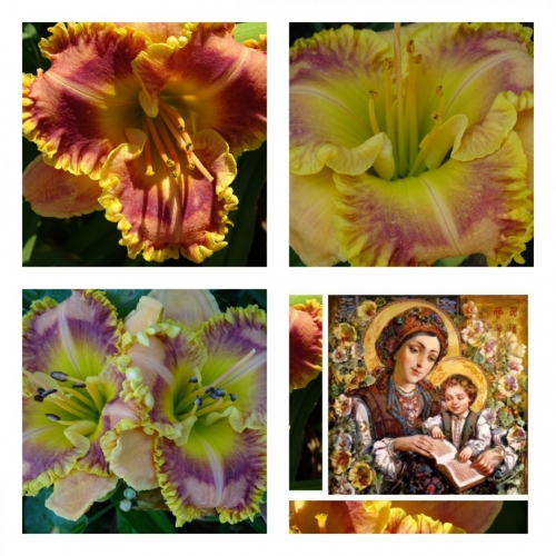 �������� �������