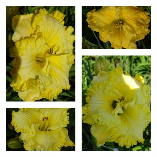 ��������� �����