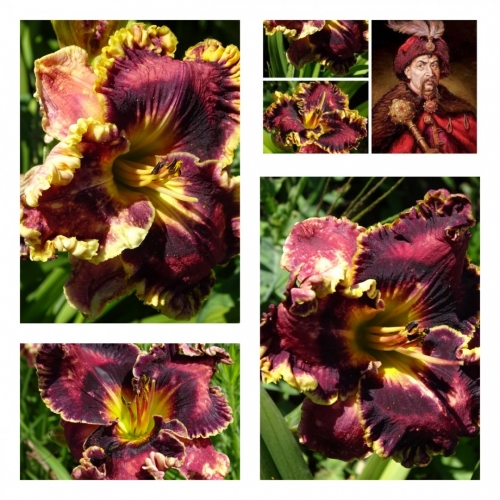 ����������� ������ ������ �������