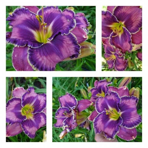 ������� �������