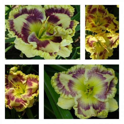 �������������� ������ ������ �������