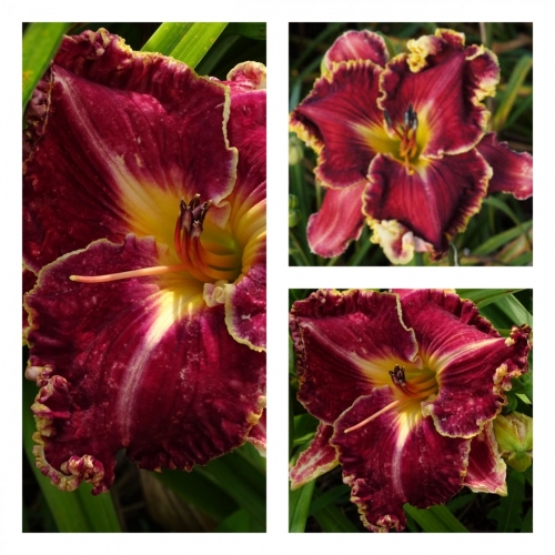 Emergency Flasher ������ �������