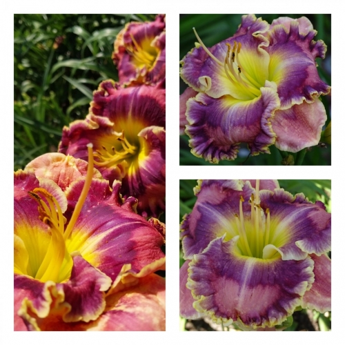 The Dnieper Waves ������ �������