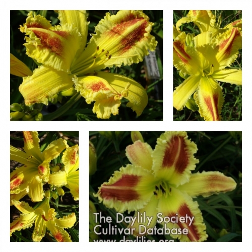 Outer Limits ������ �������