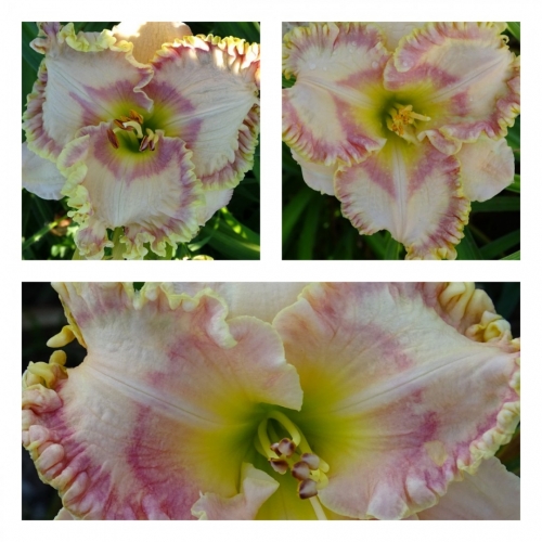 �������� ����