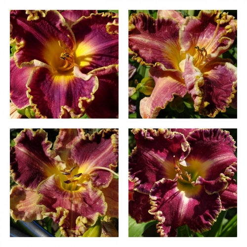 �������