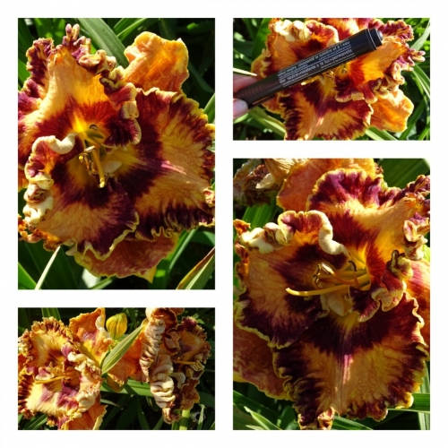 ���������� �����