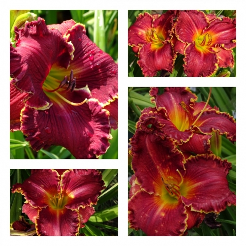 ó�� ����������