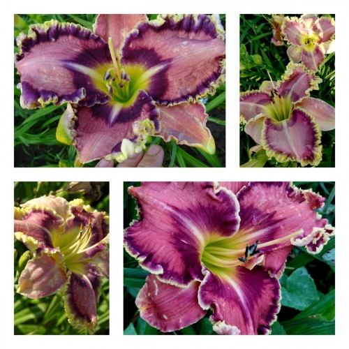 ³�������� ǳ���