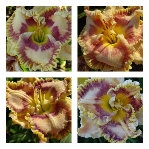 ĳ���� ���������