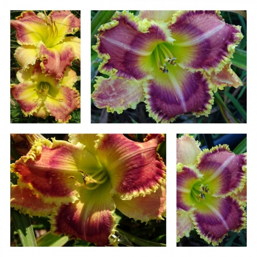 ĳ������ �������