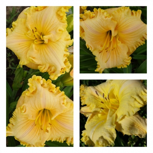 ������� ����� ���������