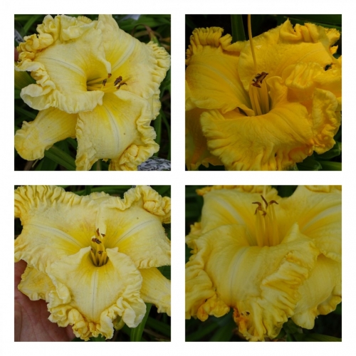 ������� ������