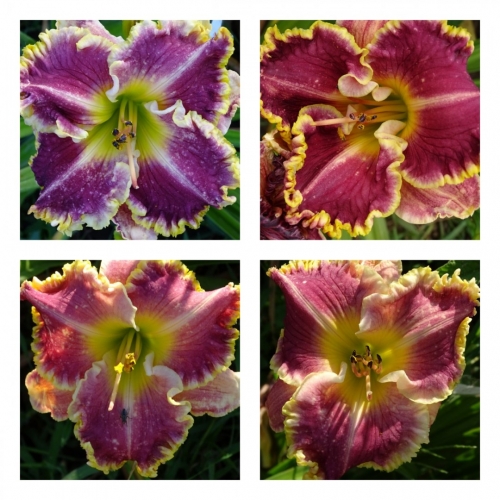 ����������� �����