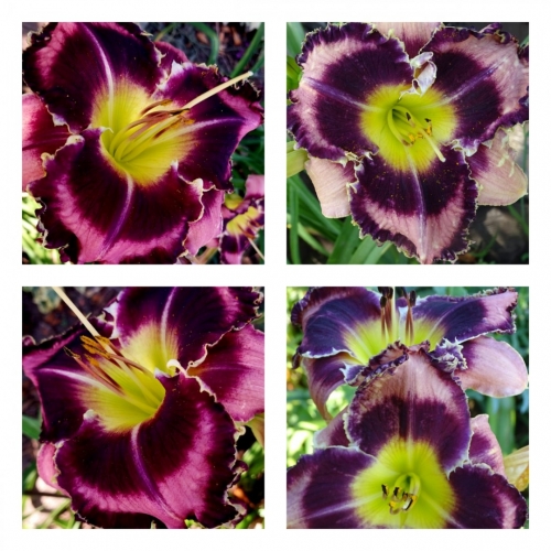 �������� ����� ������ �������