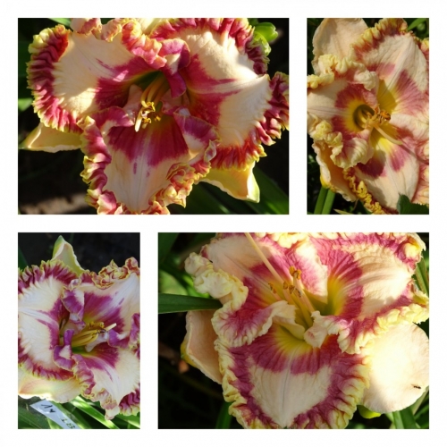 ������ ĳ����� ������ �������