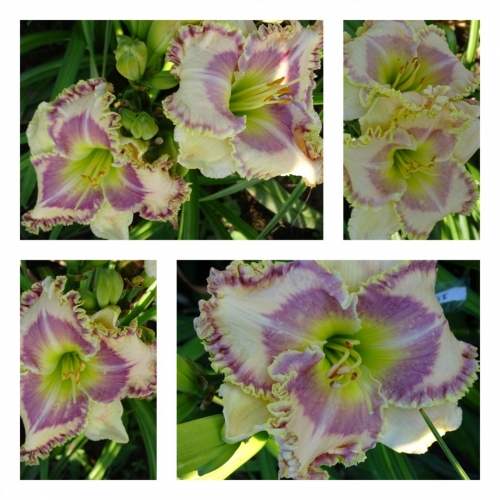 ˳������ ����� ������ �������