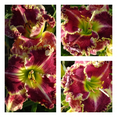 ������� ����� ������ �������