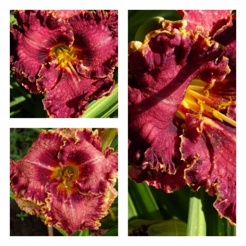 ������ ����� ������ �������