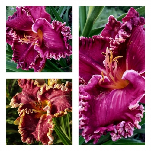 ��������� ������ �������