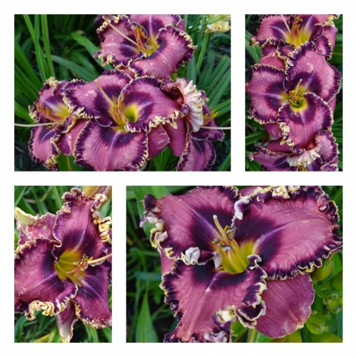 �������� ��� ������ �������