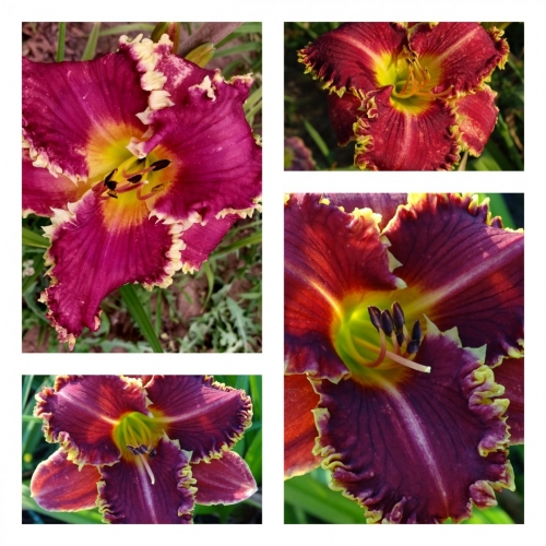 ���������� ������ �������