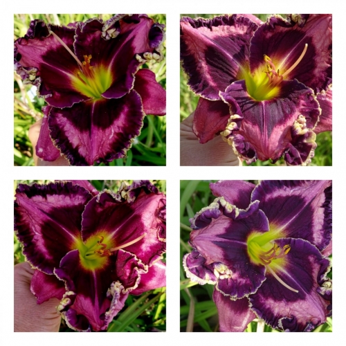 ������������ � ǳ��� ������ �������