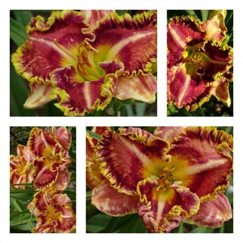 ����� ǳ��� ������ �������