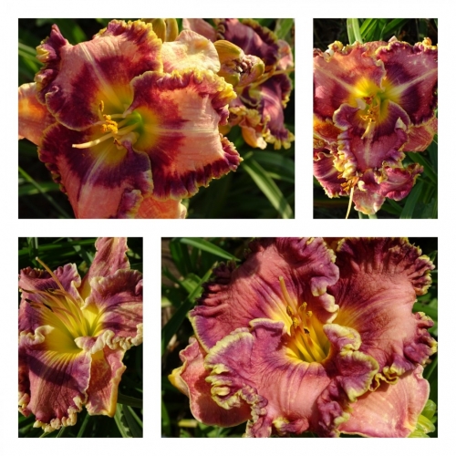 ϳ������ ����� ������ �������