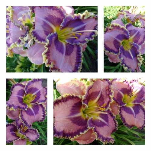 ������� � ������� ������ �������