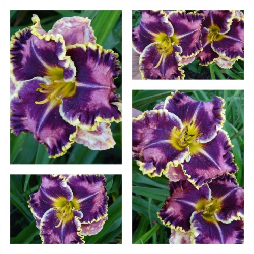 ���� ������ ������ �������