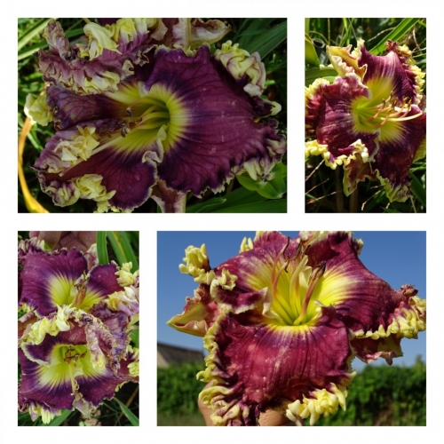 ���������� ����� ����� ����� ������ �������