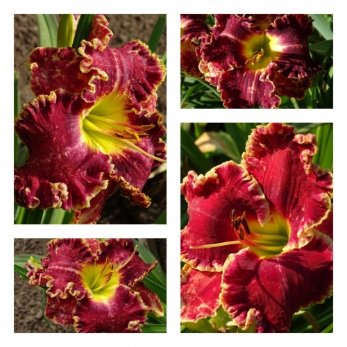 ������� ����� ������ �������